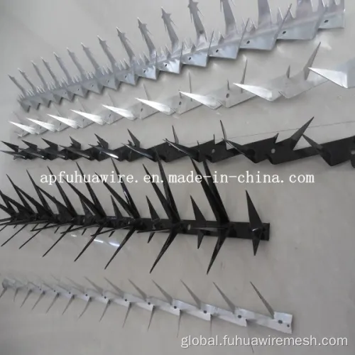 Bird Repeller Plastic Fence Wall Spikes galvanized steel wall spike/bird spike anti-climb Supplier